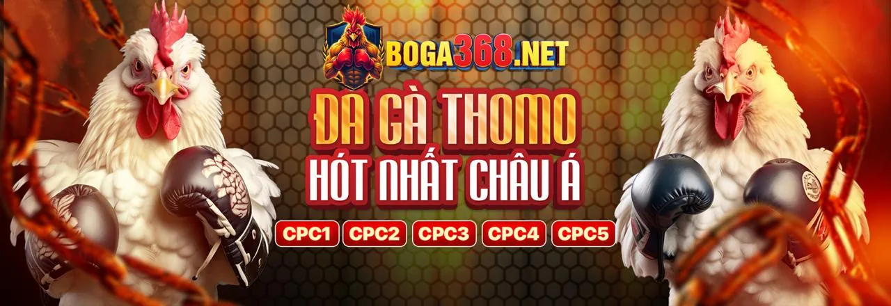 Bắn cá 8s bet
