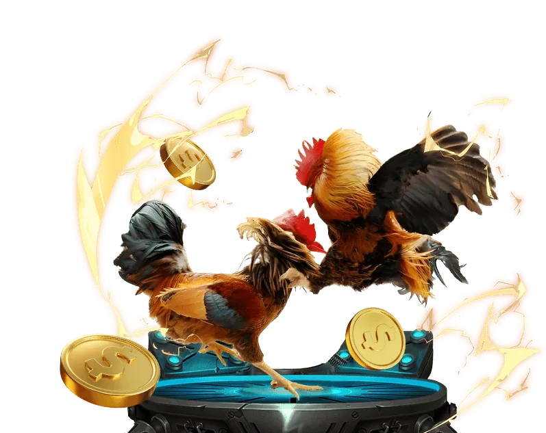 Hướng dẫn cá cược thể thao 8s bet